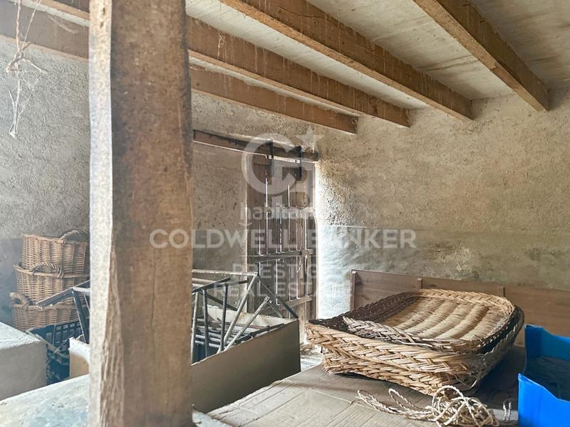 Foto 48ff4282-4f3e-4011-b202-2a8eaeeb33ed. Casa in Artà poble Artà