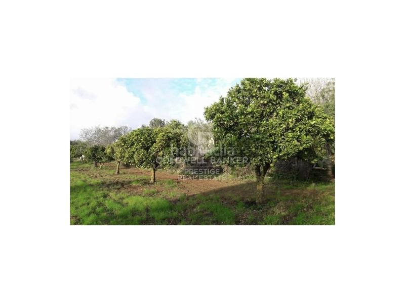 Foto 6c7fdf04-7096-4e75-967e-70fa727c79fc. Casa in Artà poble Artà