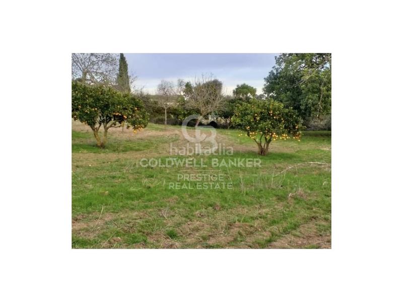 Foto 73477bba-06f4-4677-9382-9035dc3cdc6d. Casa in Artà poble Artà