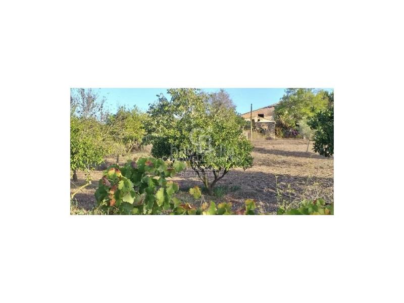 Foto 9171507a-d3b4-43b2-8f12-7ac09181d953. Casa in Artà poble Artà