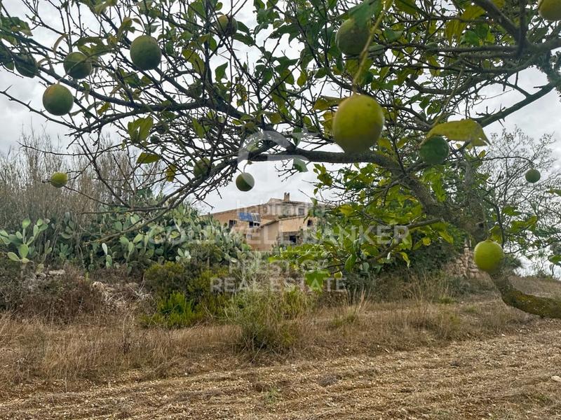 Foto 9ab0a081-8a77-435b-bc4d-fd14af6b02bf. Casa in Artà poble Artà