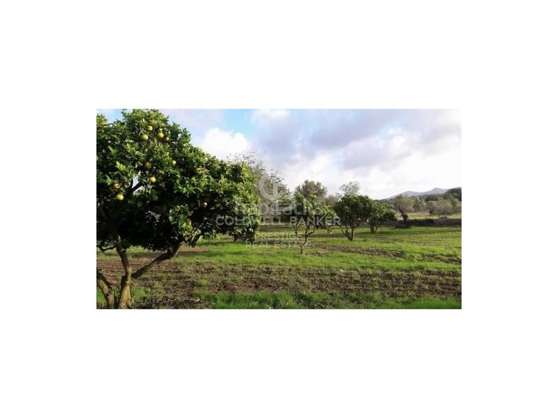 Foto b1d72ad6-00c7-4141-b556-c0a3b8400377. Casa in Artà poble Artà