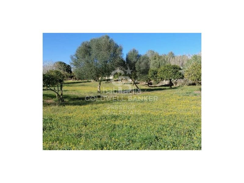 Foto f7f8b37b-aef1-4869-b603-2799043a5d21. Casa in Artà poble Artà