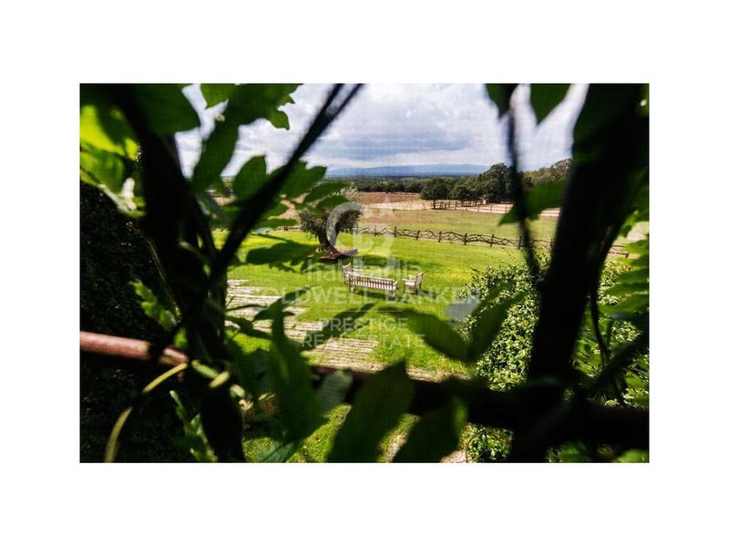 Foto 1cdab621-46b5-43c3-9ab8-d11118260b5a. Casa preciosa masia centenaria en cassá de la selva en Cassà de la Selva