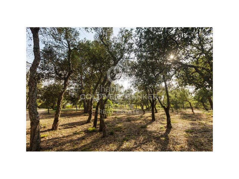 Foto 399e0cd5-fcc5-40a5-9f44-c89f35c7ded8. Casa preciosa masia centenaria en cassá de la selva en Cassà de la Selva