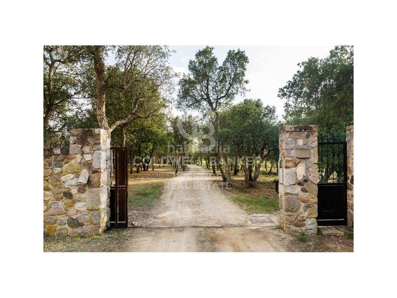 Foto 8fed3054-a165-4080-b648-86d078f74652. Casa preciosa masia centenaria en cassá de la selva en Cassà de la Selva