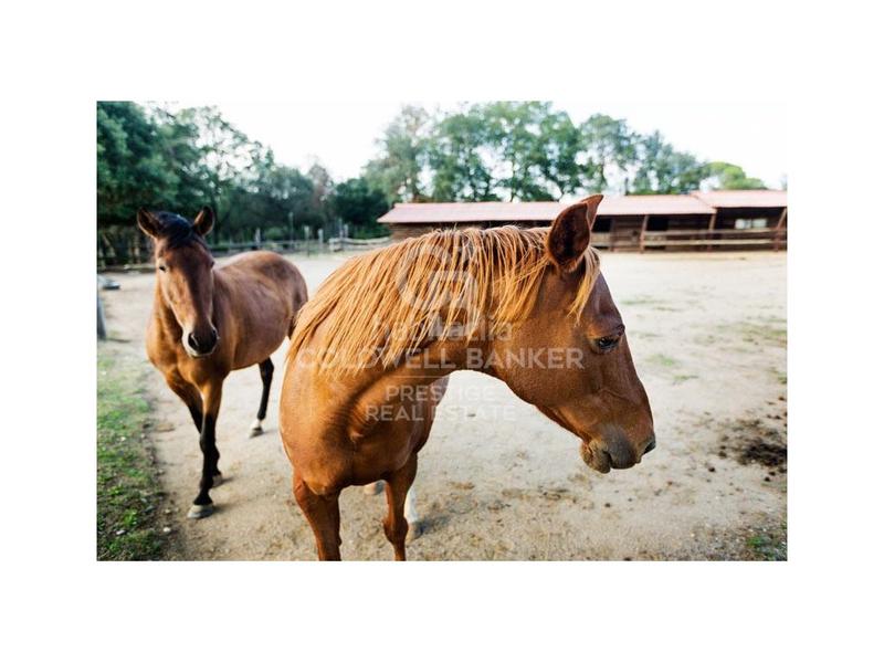 Foto a7a94fad-465d-4d54-aa66-80a9ebee06a2. Casa preciosa masia centenaria en cassá de la selva en Cassà de la Selva