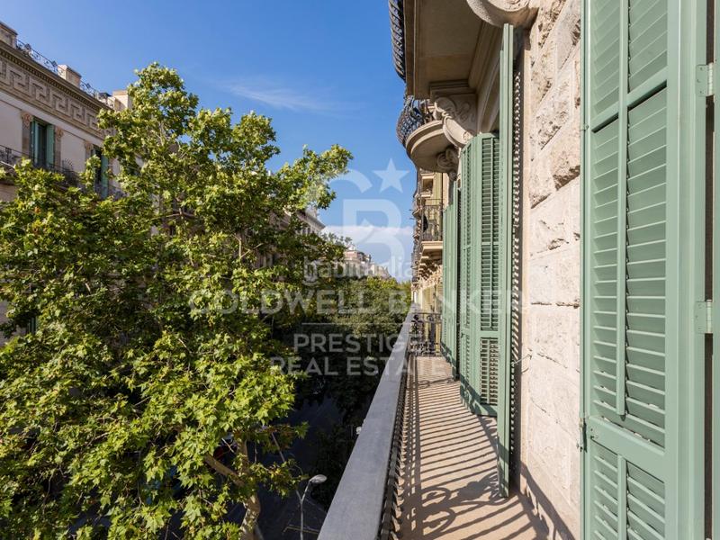 Foto f869ee69-6d61-4999-9899-6f78266ef2a9. Rent apartment with pool in Dreta de l´Eixample Barcelona