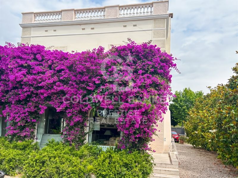 Foto e23bc976-0c25-424a-9def-3e8192e5434c. Casa amb aparcament piscina a Califòrnia-Santa Madrona Masnou (El)