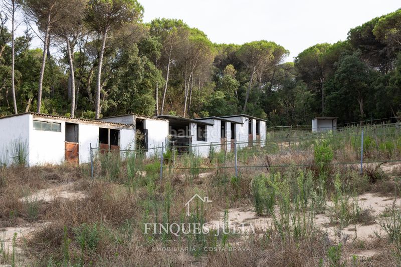 Foto b44bd0d8-5695-4e6c-adc6-bb6129ab8ac8. Casa amb xemeneia calefacció aparcament piscina a Maçanet de la Selva