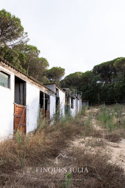 Foto f27bd581-f719-4d80-b1f0-71b4c8fb8646. Casa amb xemeneia calefacció aparcament piscina a Maçanet de la Selva