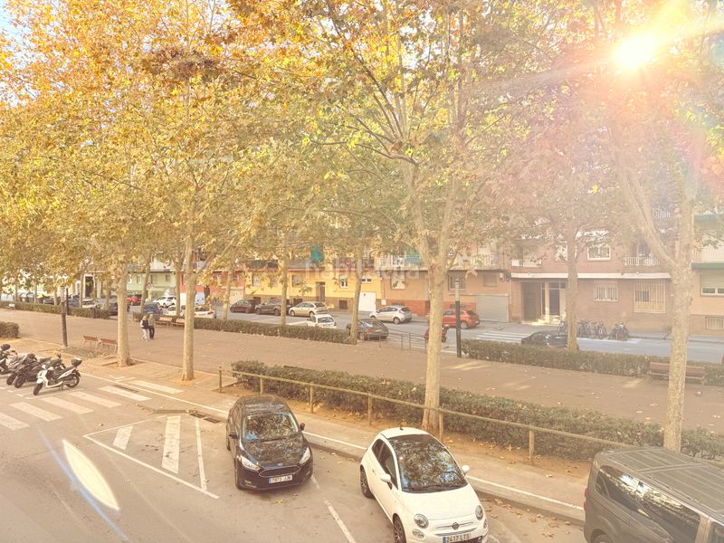 Foto c47d974c-0ce2-4d68-8d8a-2dce4e6f92cd. Pis a La plantera Blanes