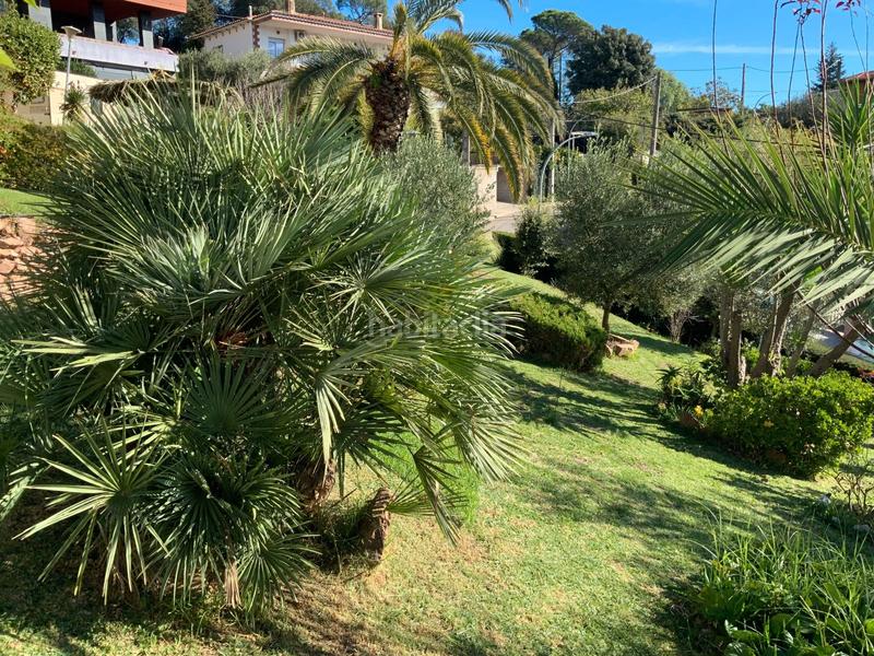 Foto b8a11e3b-0681-4bea-952c-176884932023. Wohngrundstück in Santa Maria de Palautordera