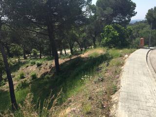 Terreny residencial a Mas Mora-Sant Daniel. Parcela muy soleada