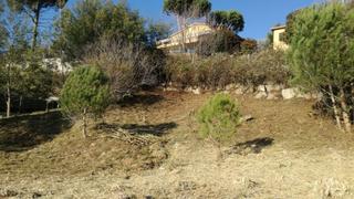 Terreny residencial a Riells i Viabrea. Parcela muy soleada