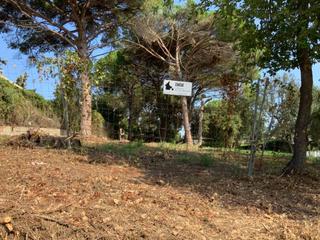 Terreny residencial a Riells i Viabrea. Parcela plana