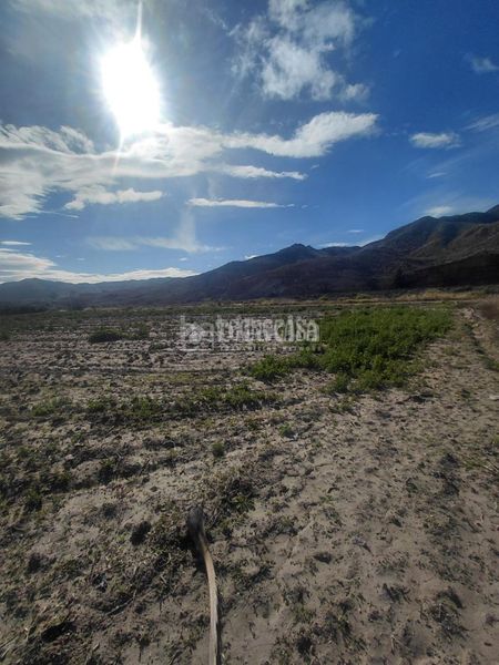 Foto d12ee5a0-b684-46a3-8368-089d538f6d9d. Terreno residenziale in Cuevas del Almanzora pueblo Cuevas del Almanzora