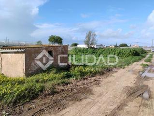 Finca rústica a La Jara