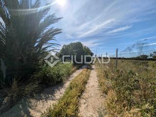 Terreny residencial a Ctra Jerez-Ctra del Puerto. Terreno en ctra. del puerto