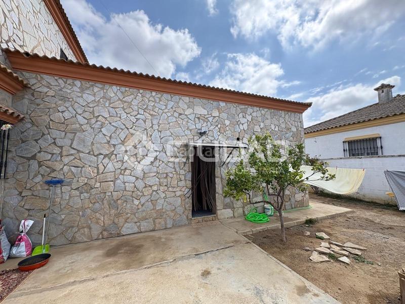 Foto 491cd294-151d-44ce-acbc-dad6f0007b1f. Casa chalet rústico en cabeza la vaca en La Jara Sanlúcar de Barrameda