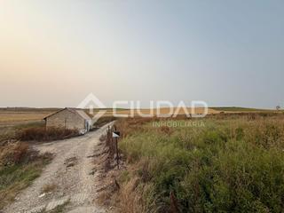 Finca rústica a Monteolivete-Camino Sevilla. Terreno rústico en carretera de trebujena