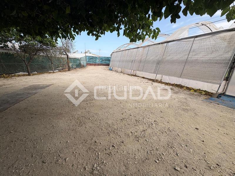 Foto 42dddc20-fcde-40c0-9976-787e1c8dea92. Casa a La Jara Sanlúcar de Barrameda