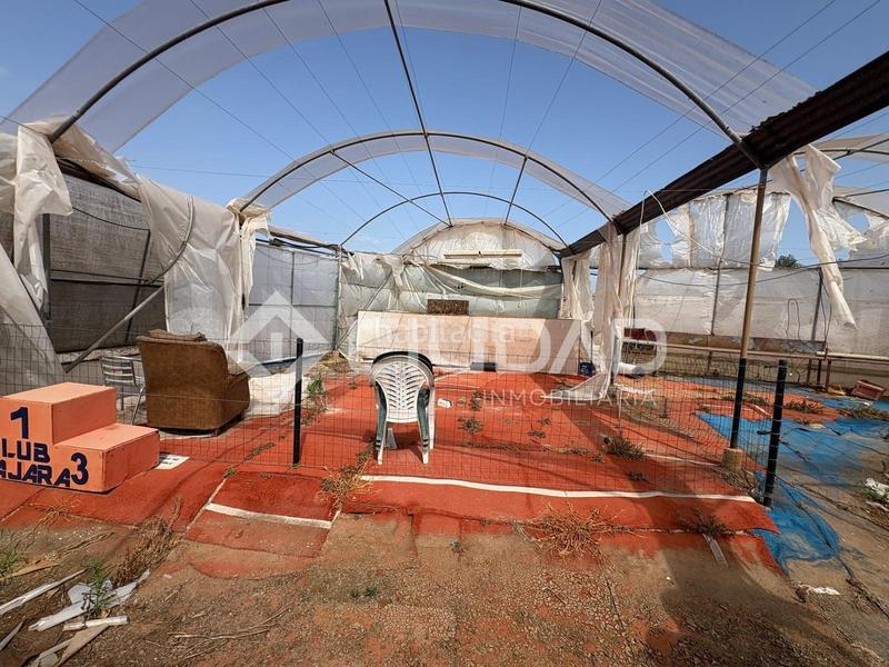 Foto c9ad6ab5-a87b-4146-9aaa-94323037880b. Casa a La Jara Sanlúcar de Barrameda