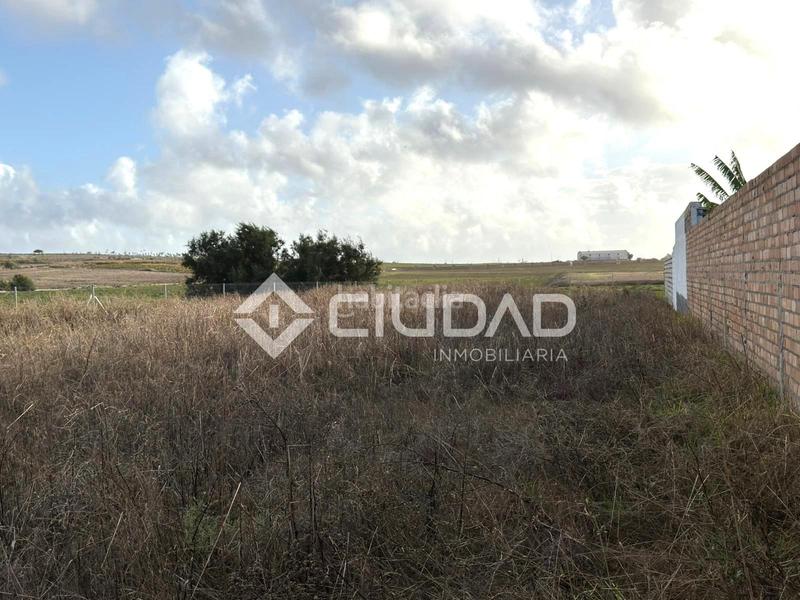 Foto 070276d7-1528-4c55-9a81-a340b94e6d03. Finca rústica terreno rústico vallado en Ctra Jerez-Ctra del Puerto Sanlúcar de Barrameda
