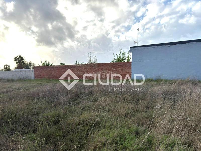 Foto 0bf99897-a619-4020-9208-eaff6c8b62a8. Finca rústica terreno rústico vallado en Ctra Jerez-Ctra del Puerto Sanlúcar de Barrameda