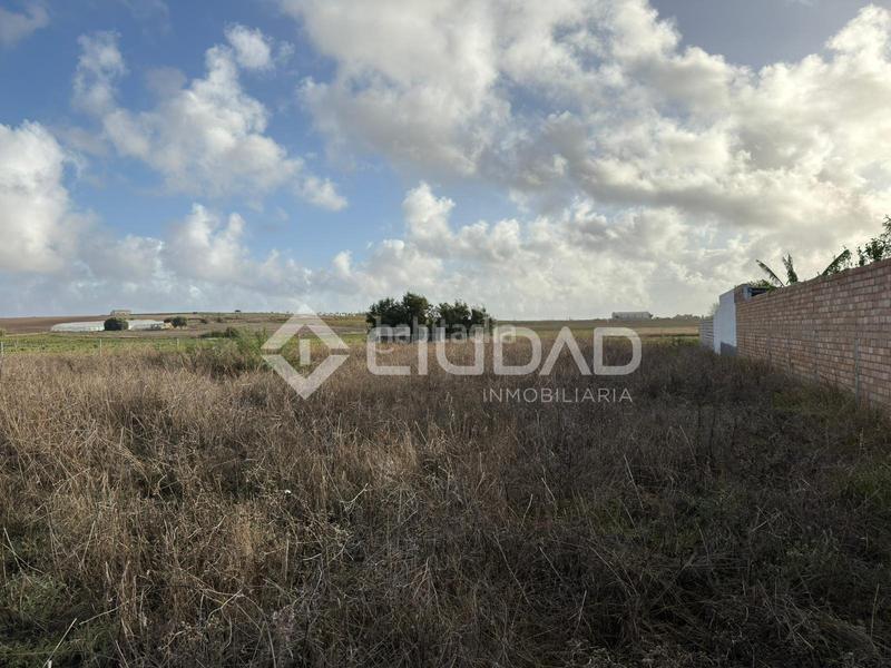 Foto 1070d0b7-0a15-47e6-be4f-d231d9d2d5be. Finca rústica terreno rústico vallado en Ctra Jerez-Ctra del Puerto Sanlúcar de Barrameda