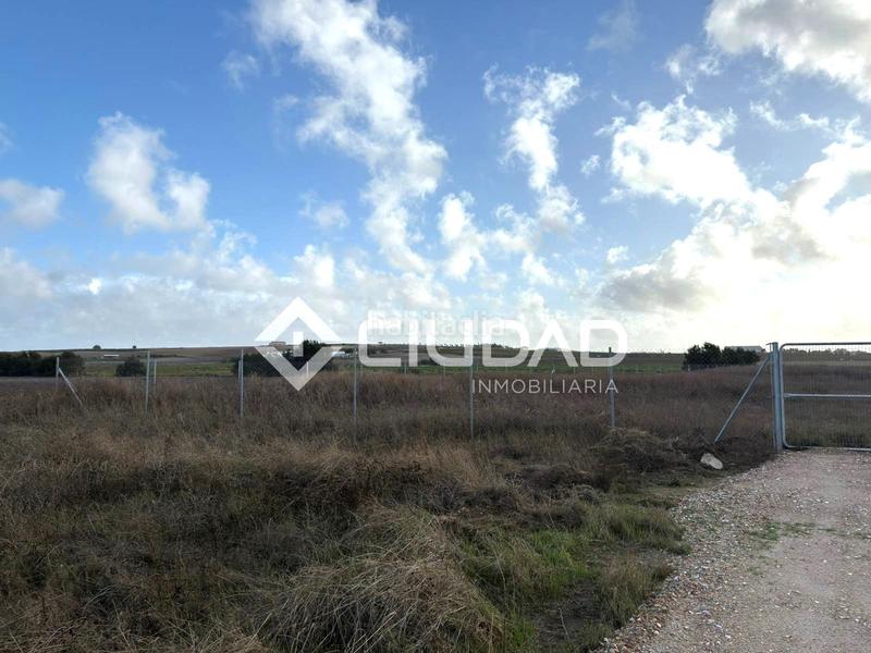 Foto 19b46630-2114-4e55-a7e7-e664843be66c. Finca rústica terreno rústico vallado en Ctra Jerez-Ctra del Puerto Sanlúcar de Barrameda