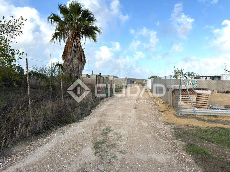 Foto 3e83f508-c521-4c80-b04a-3b2890909249. Finca rústica terreno rústico vallado en Ctra Jerez-Ctra del Puerto Sanlúcar de Barrameda