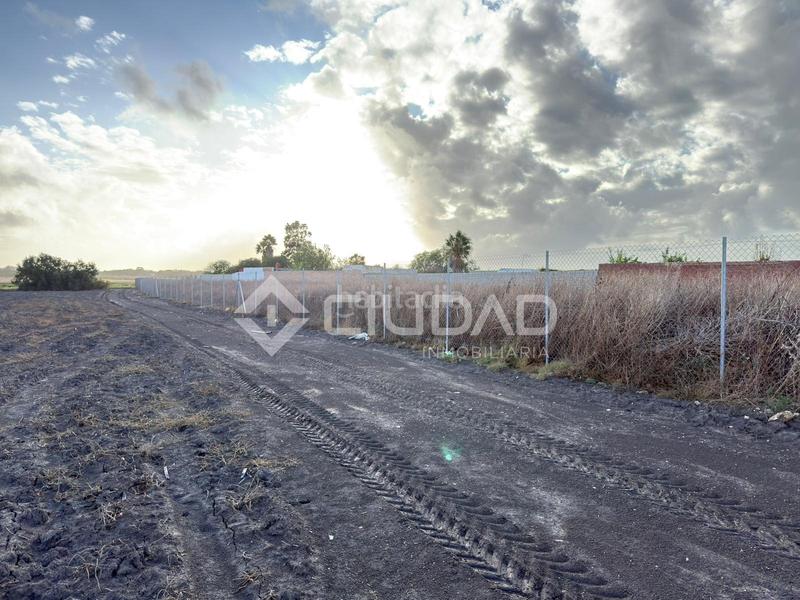 Foto 41f84fee-988e-47be-96d6-21d2a9d6de4a. Finca rústica terreno rústico vallado en Ctra Jerez-Ctra del Puerto Sanlúcar de Barrameda