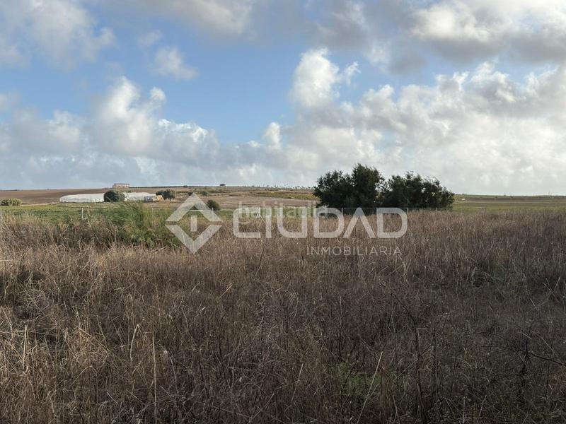 Foto 54e7d435-d03f-41bd-bf74-bd9a4a929726. Finca rústica terreno rústico vallado en Ctra Jerez-Ctra del Puerto Sanlúcar de Barrameda