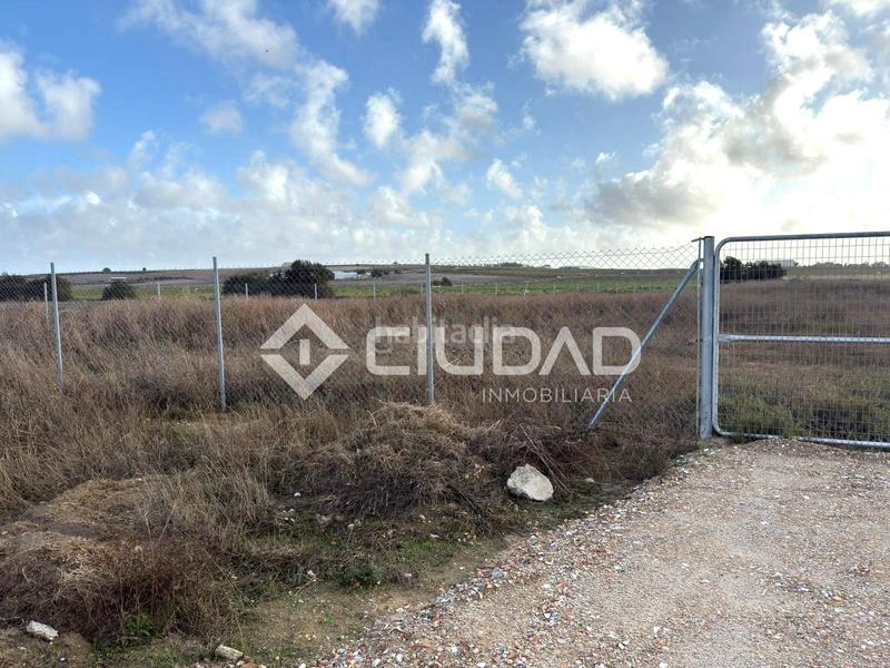 Foto 69f6a9ab-6f82-45d1-9336-5e68b755028d. Finca rústica terreno rústico vallado en Ctra Jerez-Ctra del Puerto Sanlúcar de Barrameda