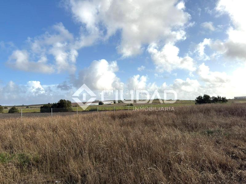 Foto 742acb9c-40d4-4543-b013-c0b53ec73dfd. Finca rústica terreno rústico vallado en Ctra Jerez-Ctra del Puerto Sanlúcar de Barrameda