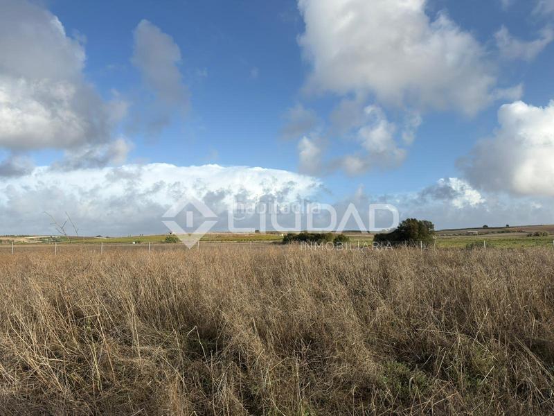 Foto 8e9d3a85-11e3-44e2-a160-6b86ba8014a2. Finca rústica terreno rústico vallado en Ctra Jerez-Ctra del Puerto Sanlúcar de Barrameda