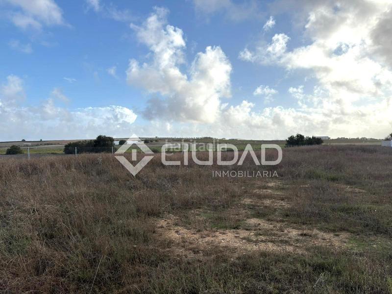 Foto a46ef768-e678-499c-a8db-181cb3f512cc. Finca rústica terreno rústico vallado en Ctra Jerez-Ctra del Puerto Sanlúcar de Barrameda