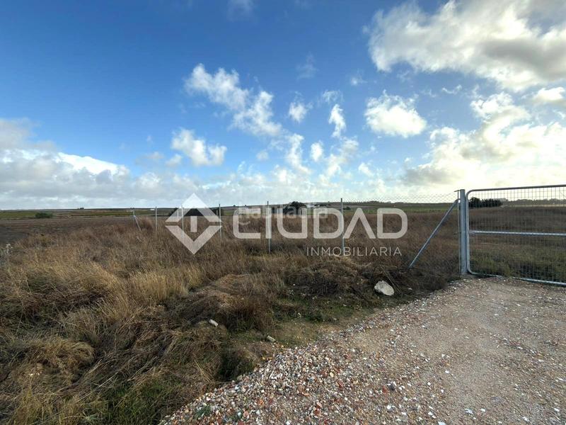 Foto a830f6a3-298d-4efa-9538-1b371b2e500b. Finca rústica terreno rústico vallado en Ctra Jerez-Ctra del Puerto Sanlúcar de Barrameda