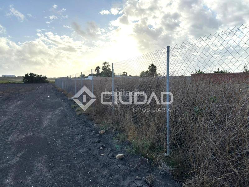 Foto a8cc37b5-a51b-4ee5-aecf-20ddf6811529. Finca rústica terreno rústico vallado en Ctra Jerez-Ctra del Puerto Sanlúcar de Barrameda