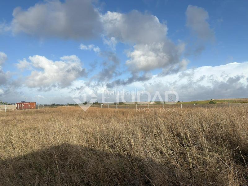 Foto c475527e-179b-461b-87aa-b123004f02b9. Finca rústica terreno rústico vallado en Ctra Jerez-Ctra del Puerto Sanlúcar de Barrameda