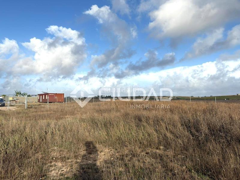 Foto d0909ec2-99c8-4bb2-a8bb-42f8db351e42. Finca rústica terreno rústico vallado en Ctra Jerez-Ctra del Puerto Sanlúcar de Barrameda