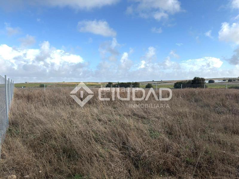 Foto fb9d96b4-d7ac-46a9-9f3e-5e9191579c22. Finca rústica terreno rústico vallado en Ctra Jerez-Ctra del Puerto Sanlúcar de Barrameda