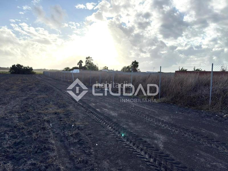 Foto fd5d1e23-43dd-47cd-ab0c-ffc962b722a7. Finca rústica terreno rústico vallado en Ctra Jerez-Ctra del Puerto Sanlúcar de Barrameda
