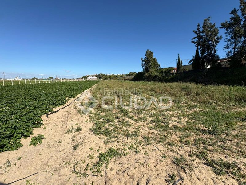 Foto 06b41a9c-c647-42a2-be91-625a9b7fa7af. Finca rústica a Bonanza-Avda de Huelva-Barrio Andalucia Sanlúcar de Barrameda