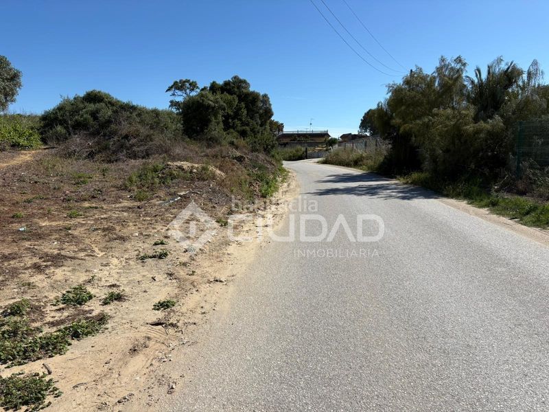 Foto 11cf566b-5b6e-4d4c-bfe0-6d30f5a6893d. Finca rústica a Bonanza-Avda de Huelva-Barrio Andalucia Sanlúcar de Barrameda