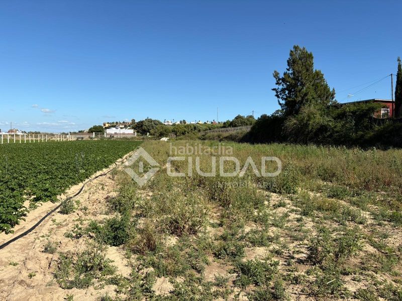 Foto 862d3283-e1cd-4839-80ea-e31325ad2c0c. Finca rústica a Bonanza-Avda de Huelva-Barrio Andalucia Sanlúcar de Barrameda