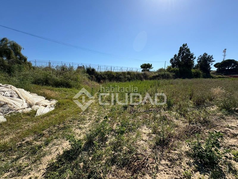 Foto a5cfa25f-3474-4461-8544-97d3f75ab1d1. Finca rústica a Bonanza-Avda de Huelva-Barrio Andalucia Sanlúcar de Barrameda