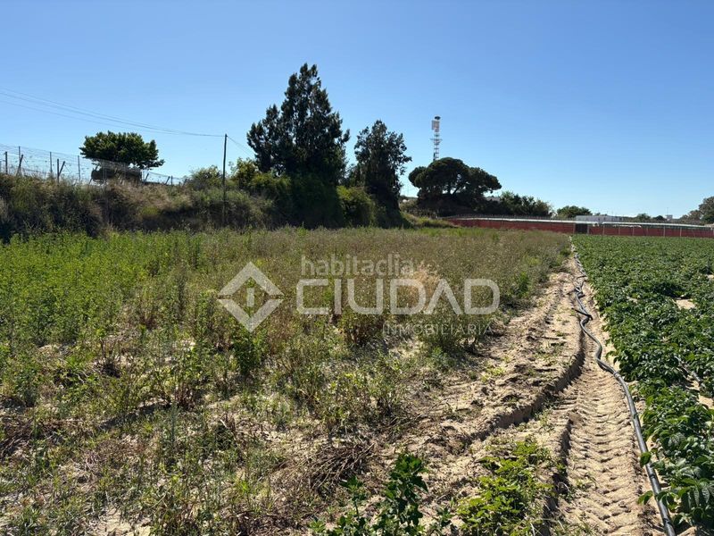 Foto af17a4b0-d5d9-4de7-9830-42a47a7e960f. Finca rústica a Bonanza-Avda de Huelva-Barrio Andalucia Sanlúcar de Barrameda