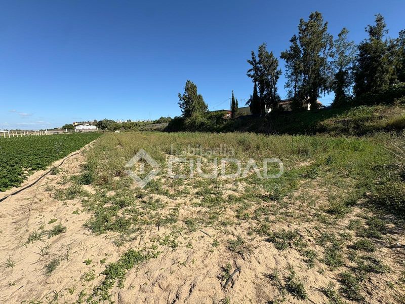 Foto c1a57310-9d88-4037-bcc2-6a890c282d64. Finca rústica a Bonanza-Avda de Huelva-Barrio Andalucia Sanlúcar de Barrameda